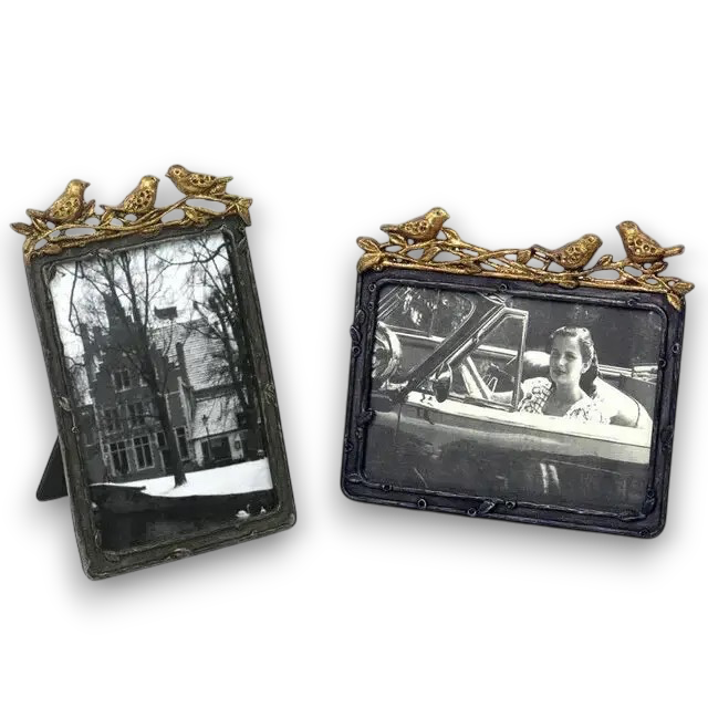 Pewter Photo Frame w/ Gold Leaf Bird Accent | 4x6