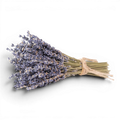 Mini French Lavender Bundle