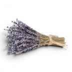 Mini French Lavender Bundle
