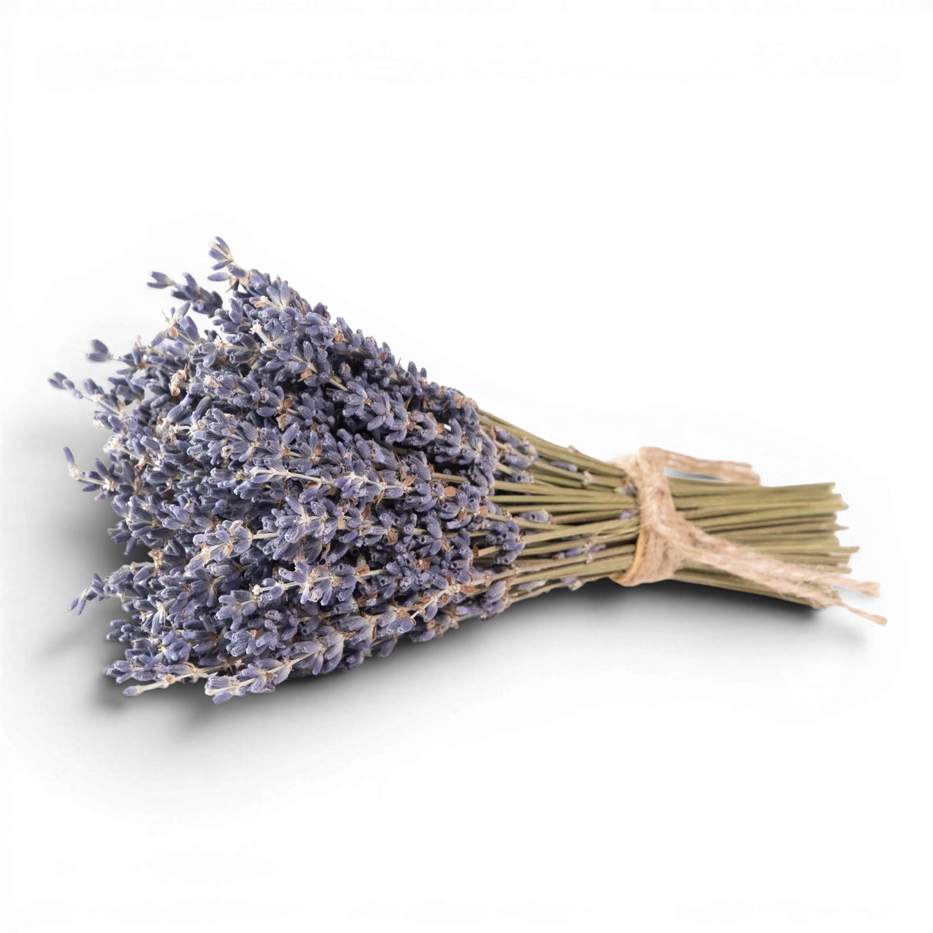 Mini French Lavender Bundle