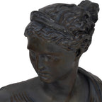Bronze Resin Grecian Bust | 12"