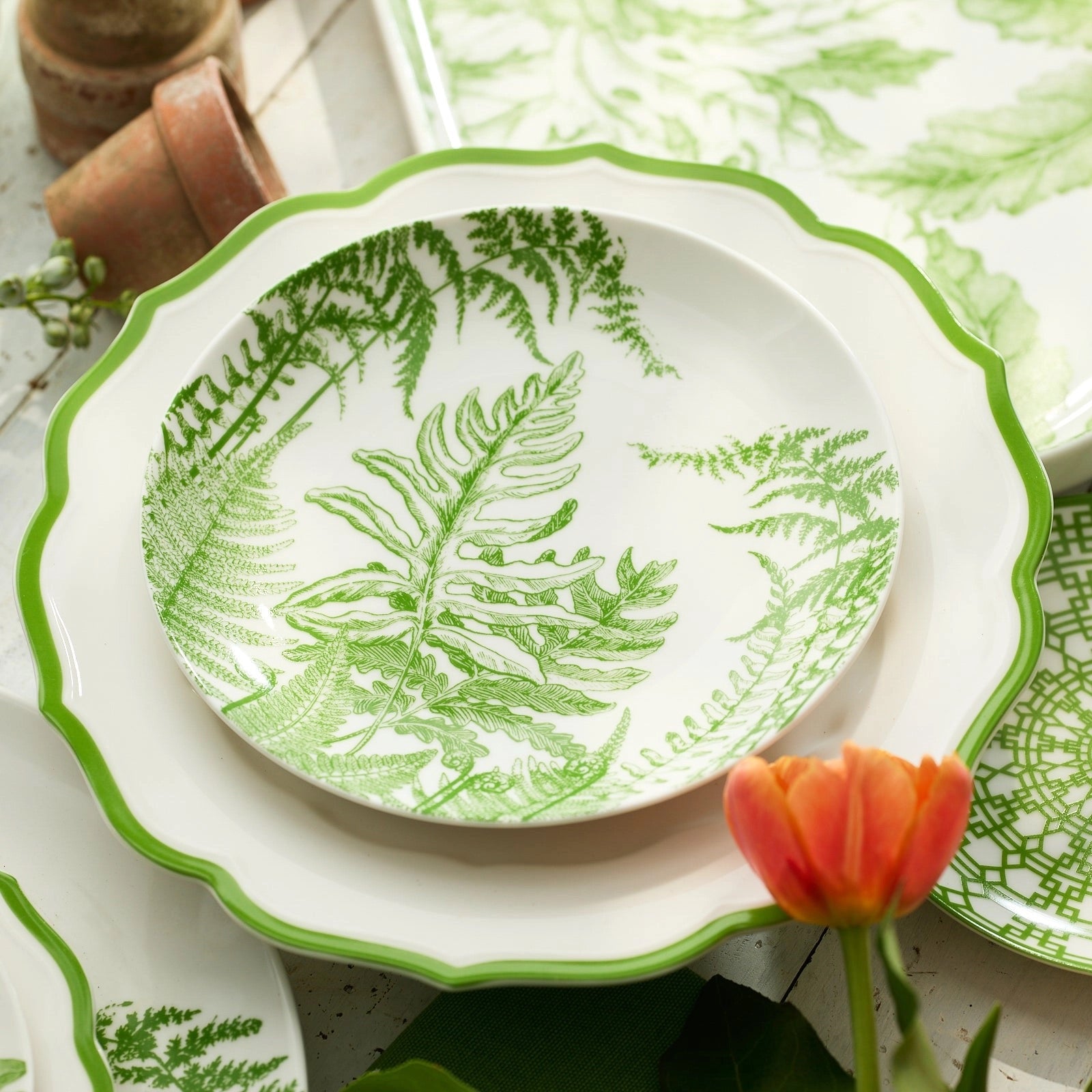 Spring Verde Coupe Salad Plate