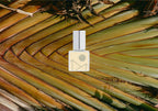 Mezcal Perfume Oil | Blanca
