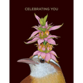 Celebrating You