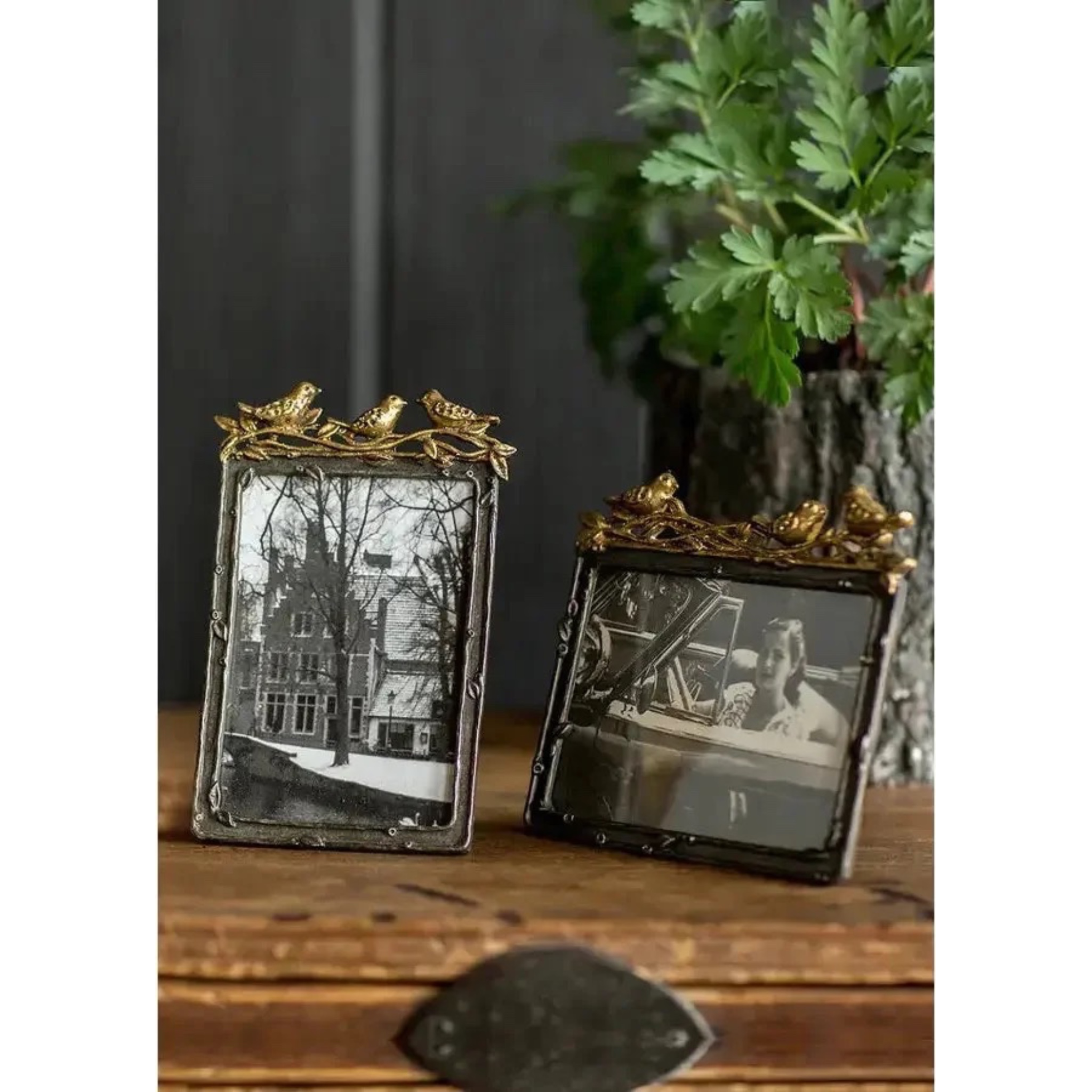 Pewter Photo Frame w/ Gold Leaf Bird Accent | 4x6
