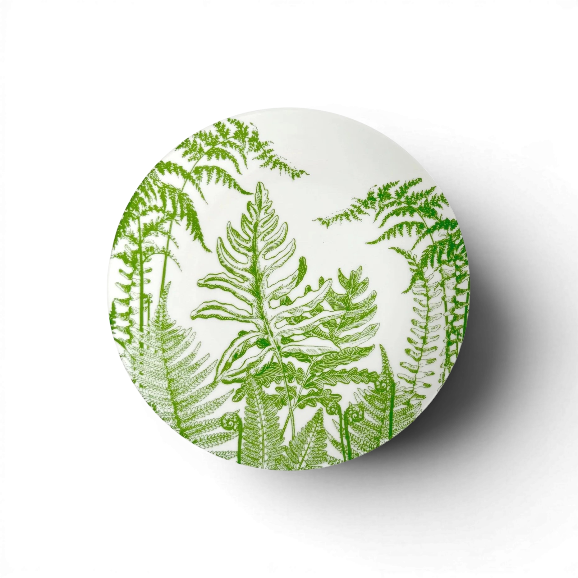 Spring Verde Botanical Coupe Salad Plate | 8.5" Lead-Free Porcelain