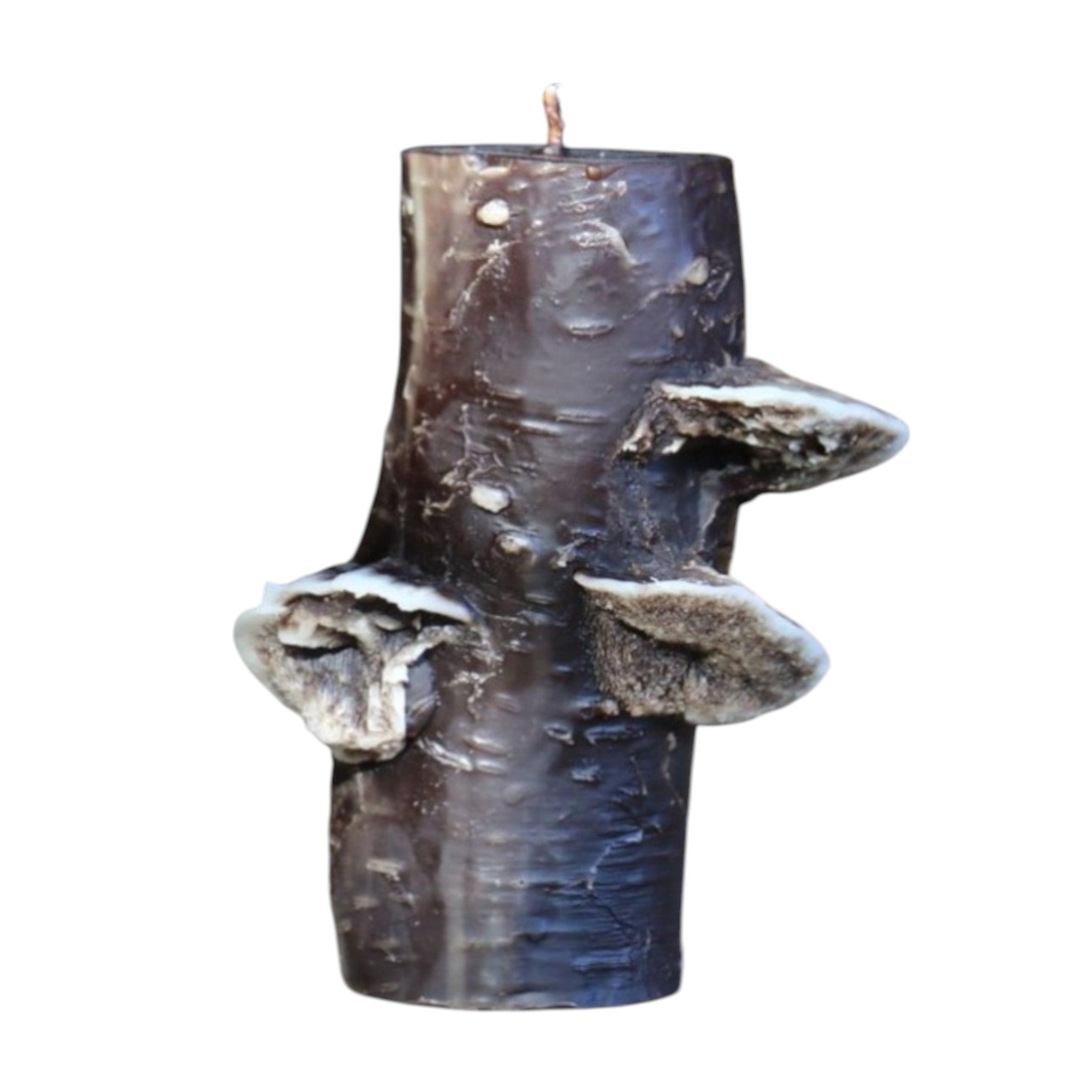 75 hr Birch Pillar | Choice of Colors