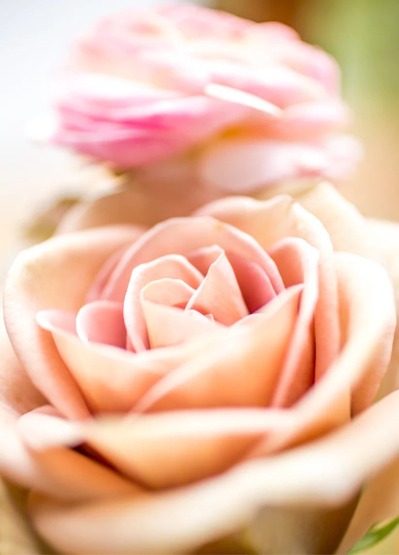 Botanical Notecard | Petal Play