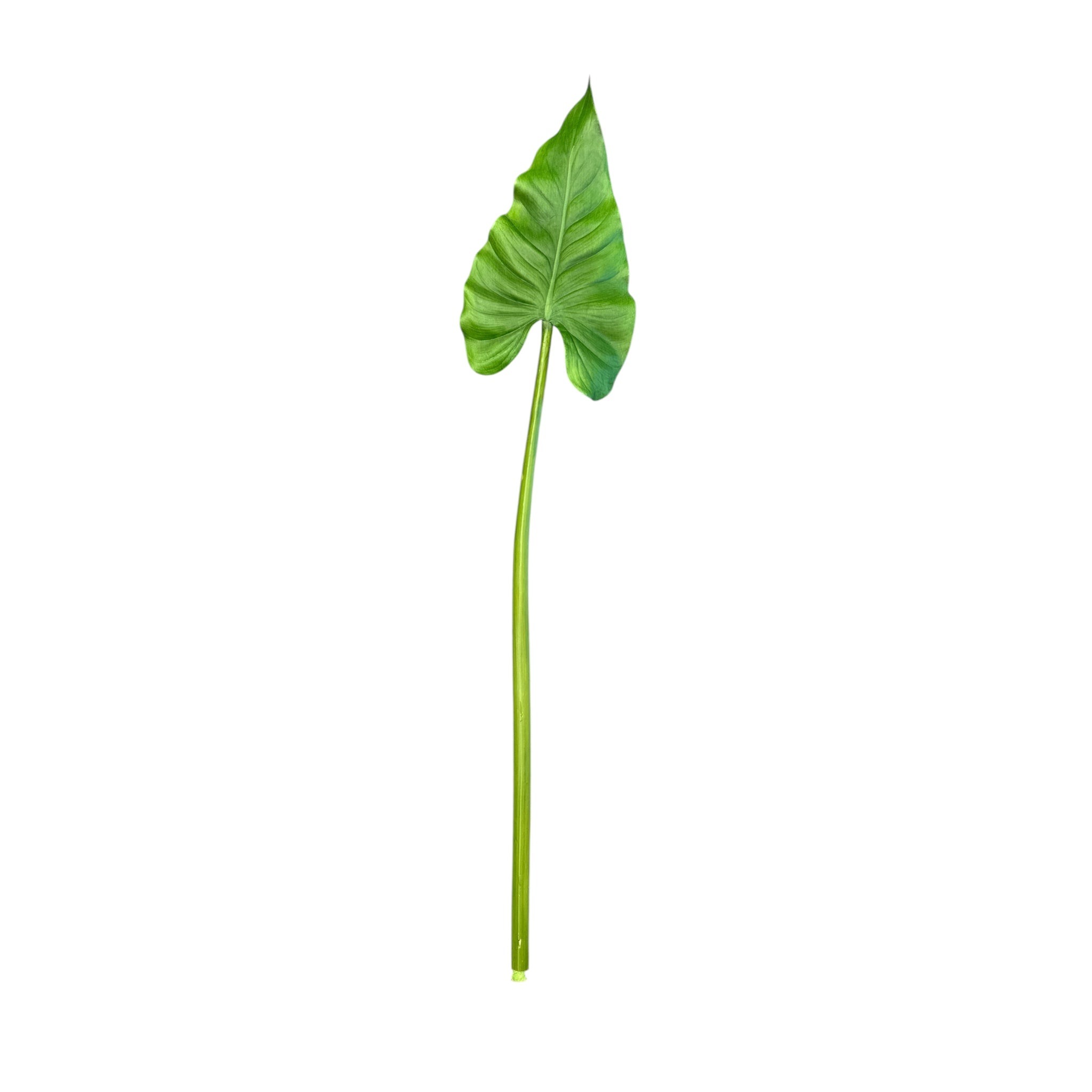Premium Faux Elephant Ear Leaf Stems I Two Sizes