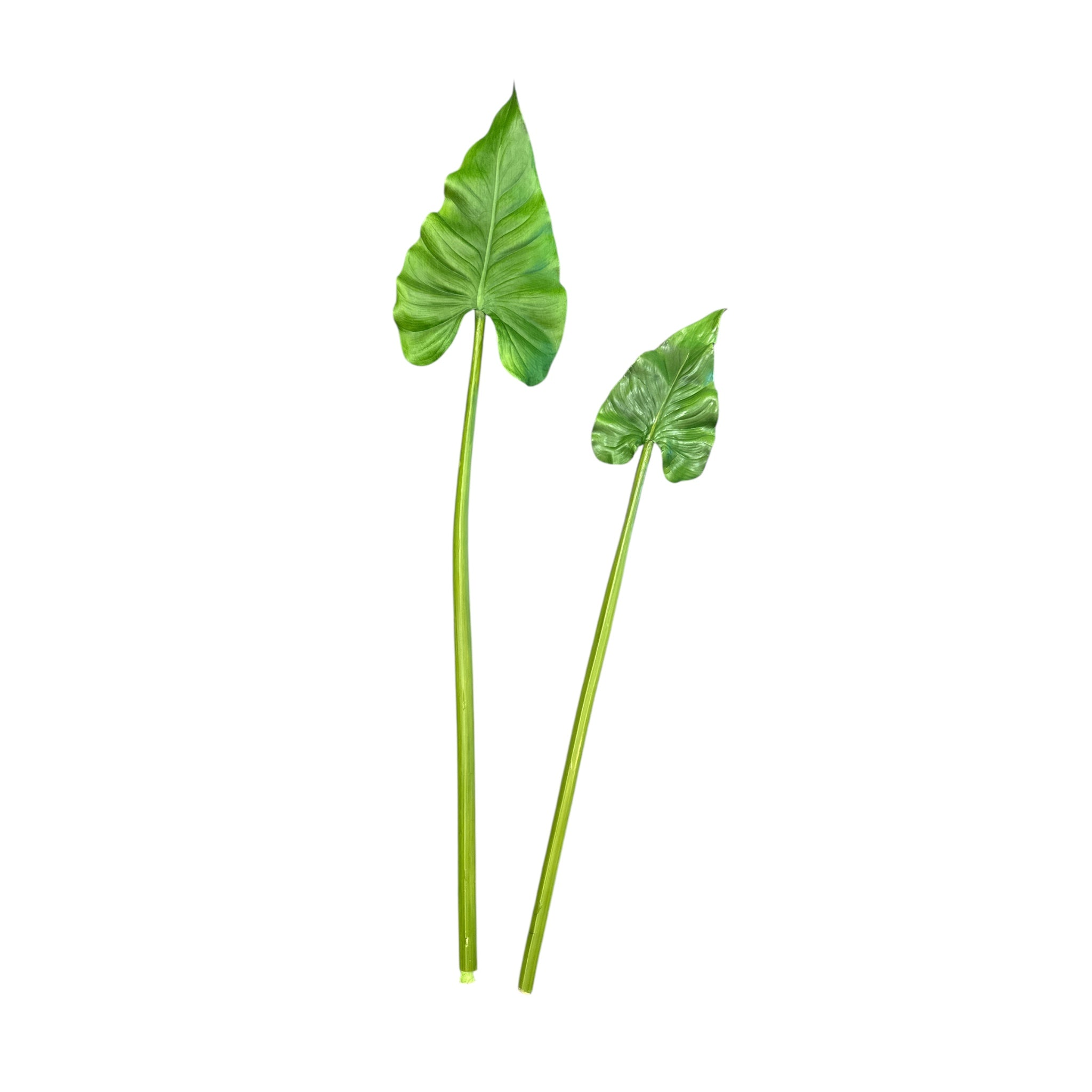 Premium Faux Elephant Ear Leaf Stems I Two Sizes