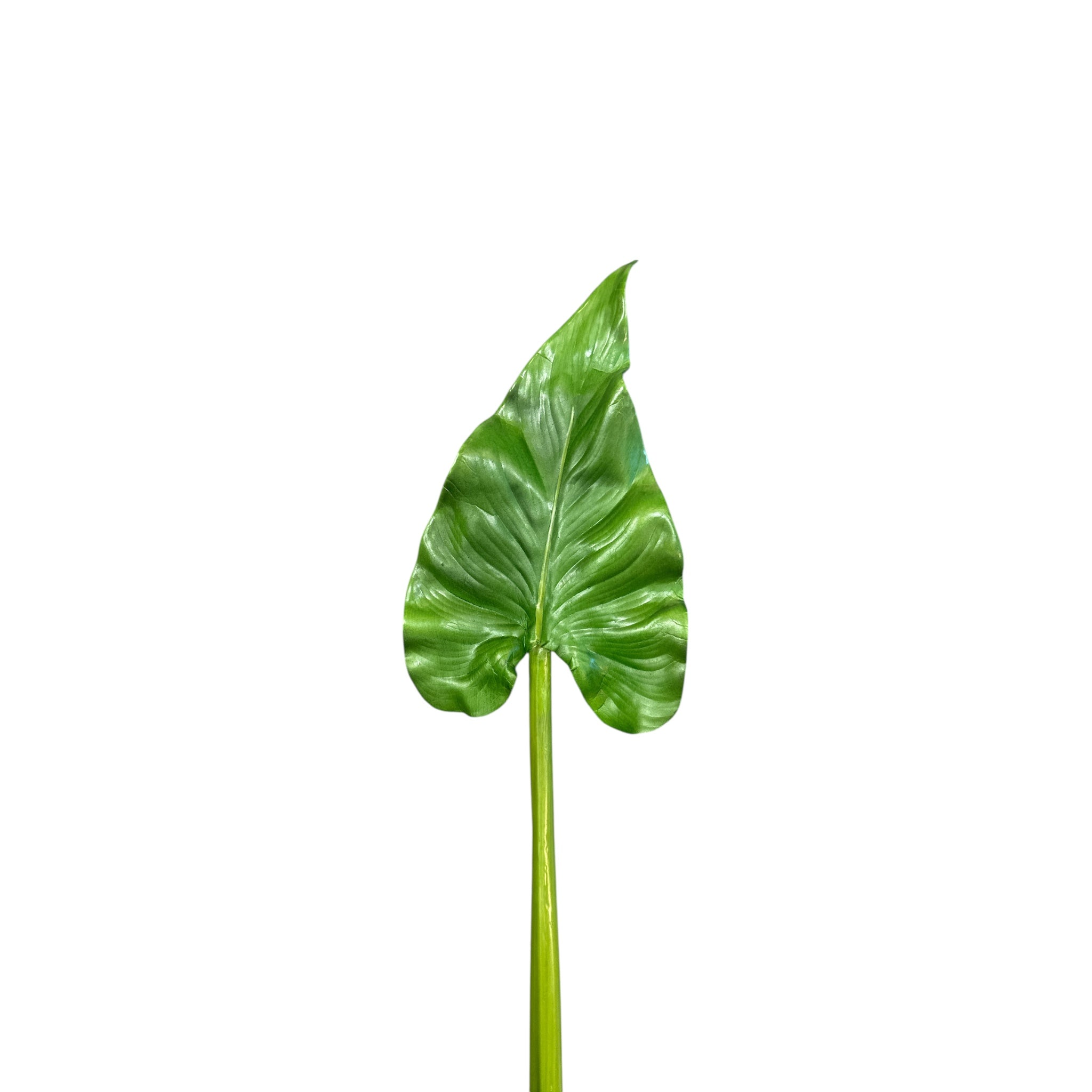 Premium Faux Elephant Ear Leaf Stems I Two Sizes