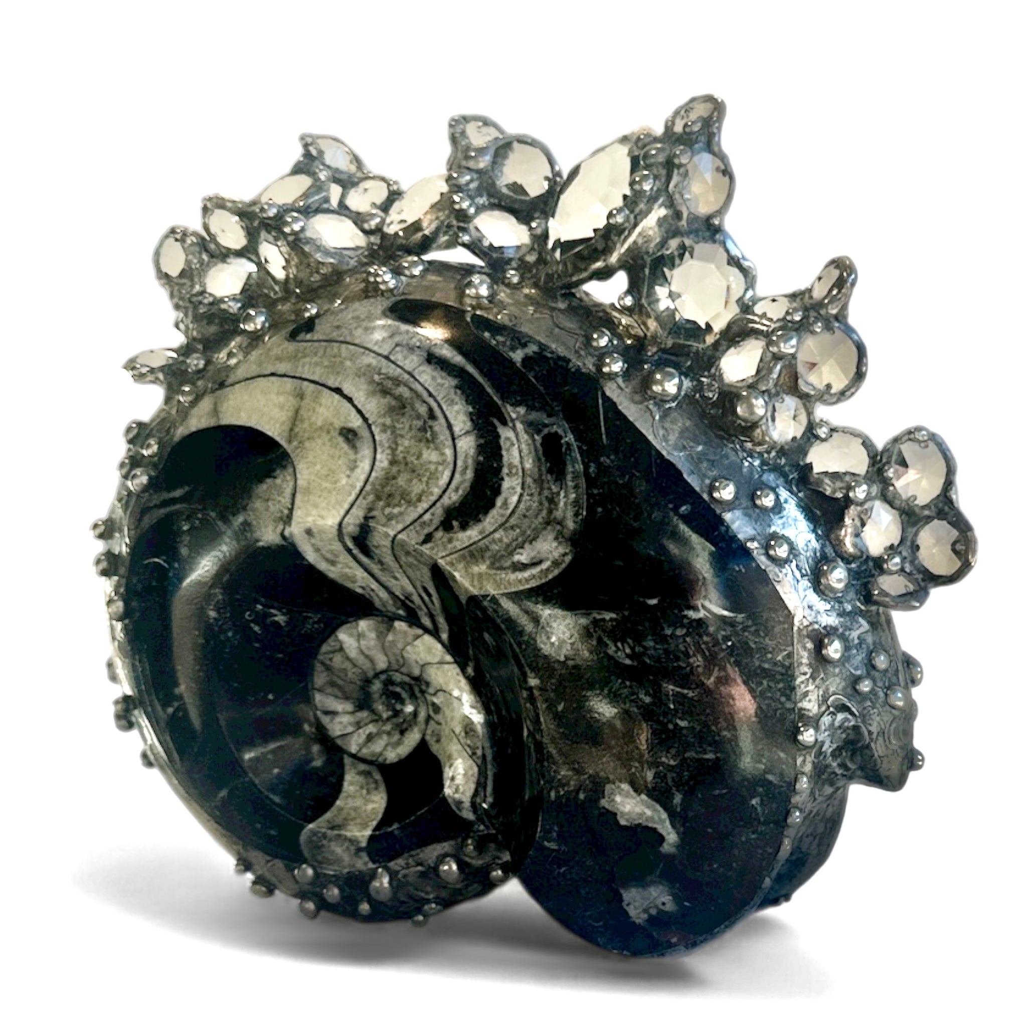 Crowned Ammonite Sculpture