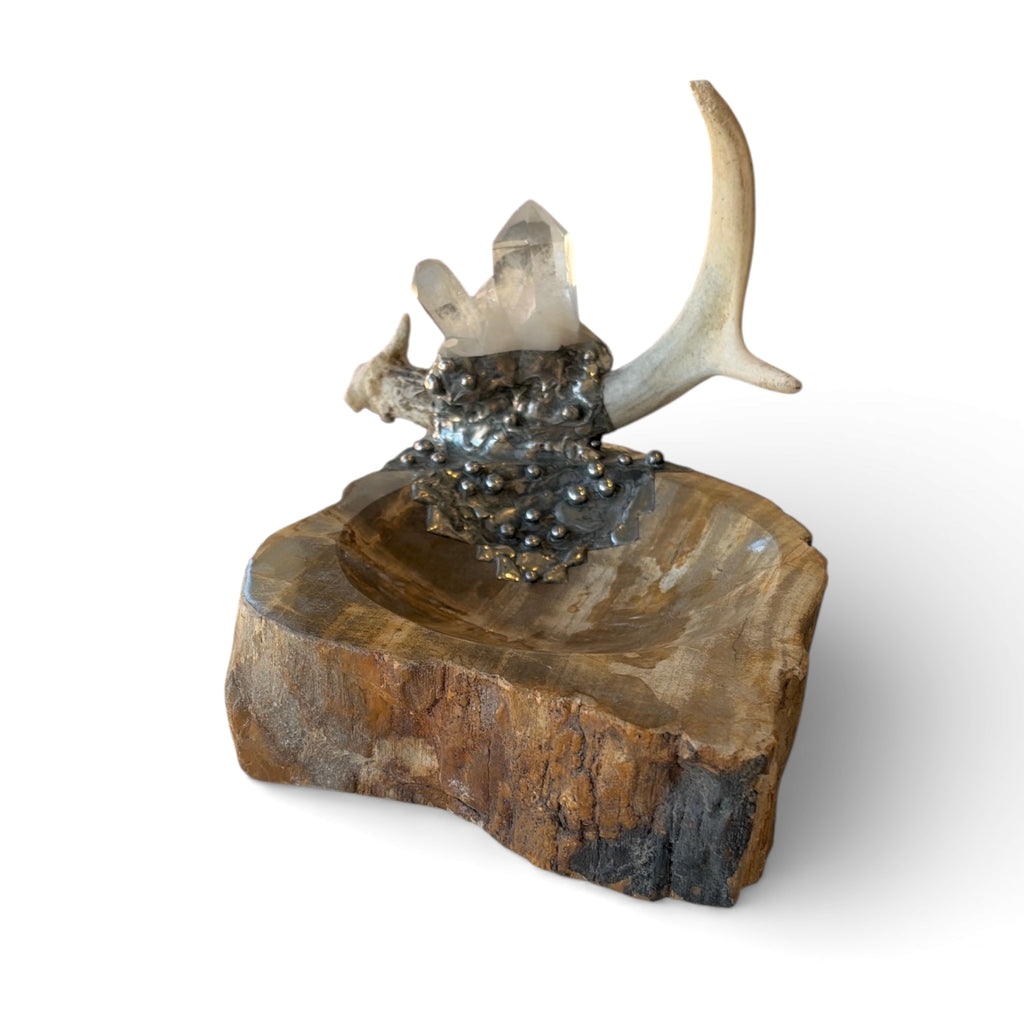 Petrified Wood Relic Bowl