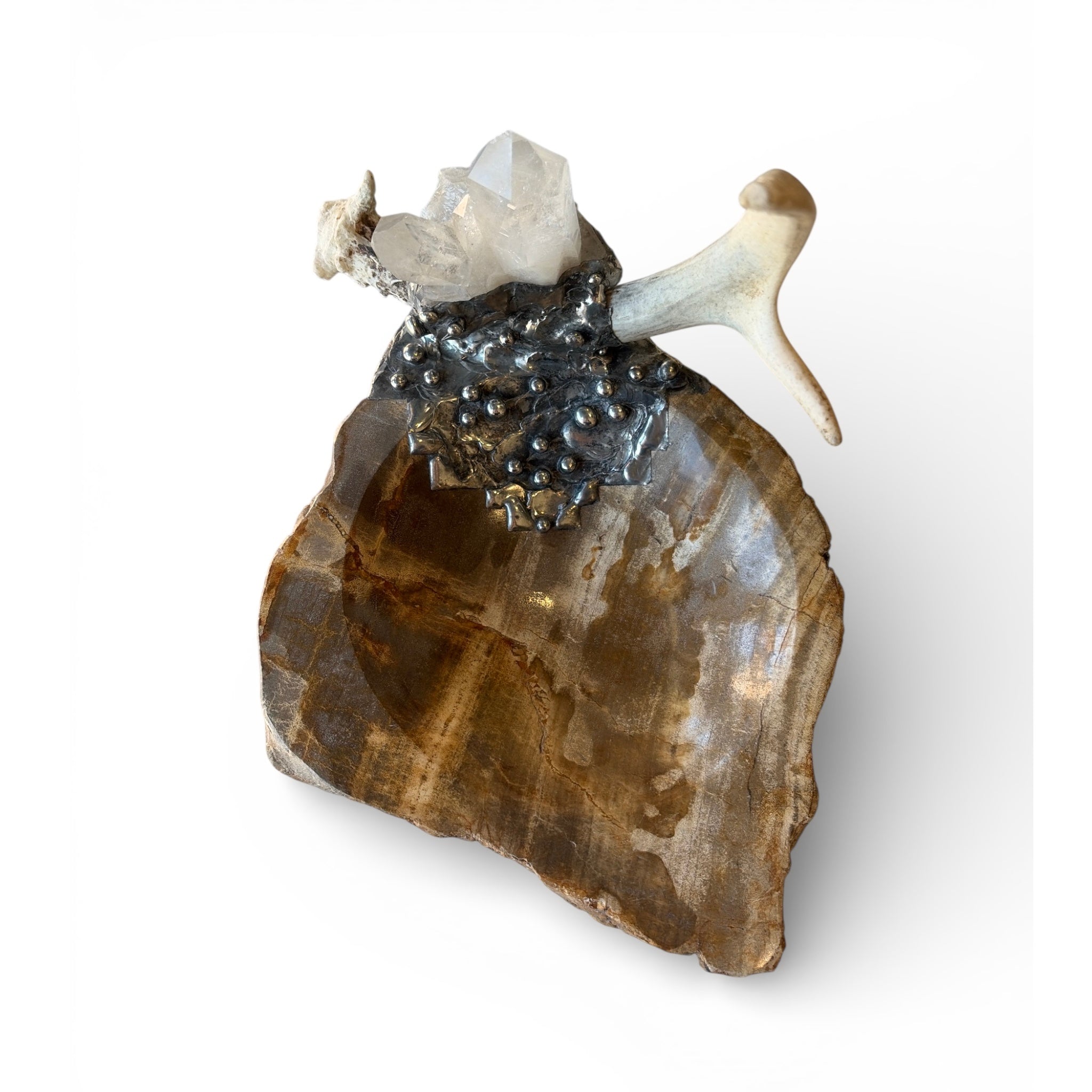 Petrified Wood Relic Bowl