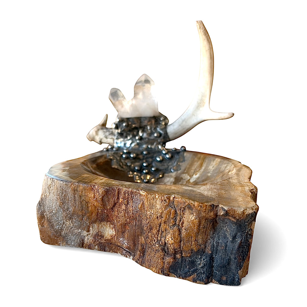 Petrified Wood Relic Bowl