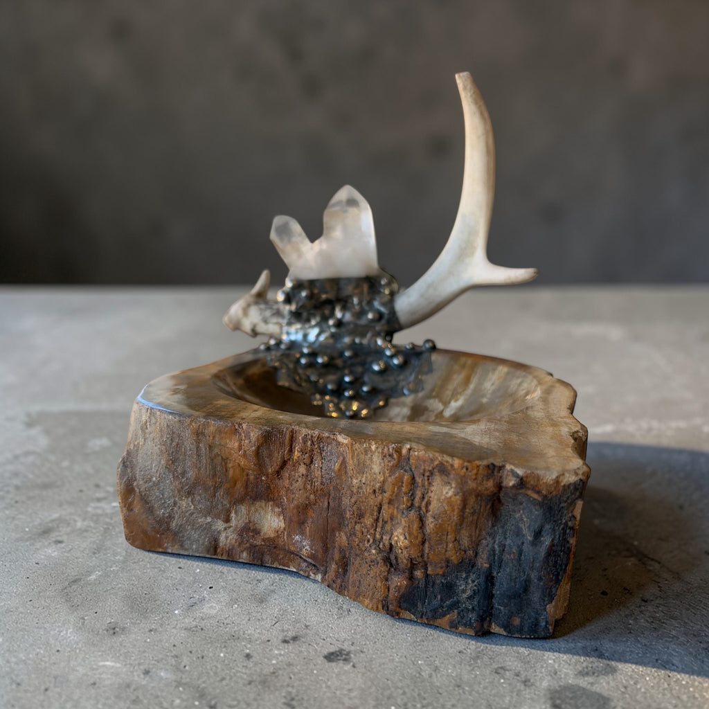 Petrified Wood Relic Bowl