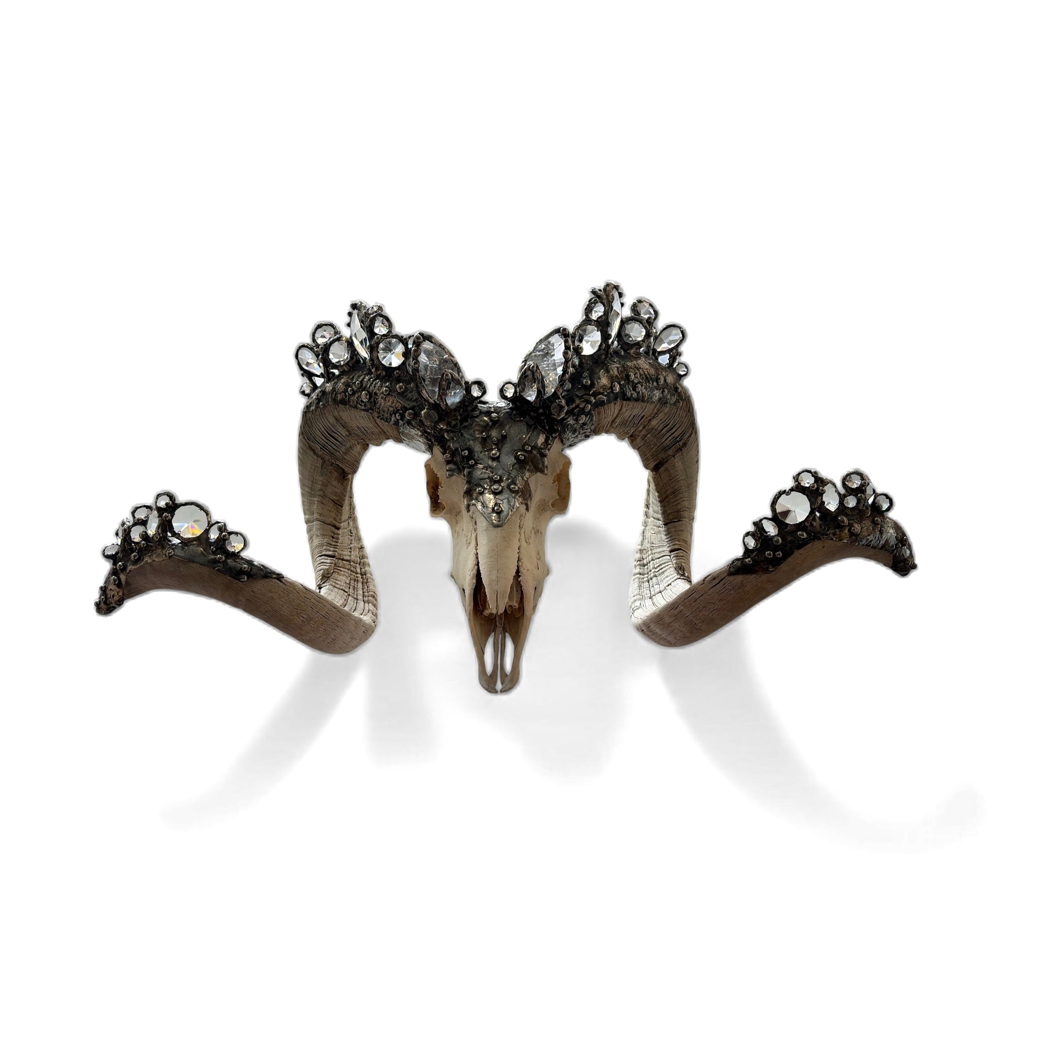 Crystal-Crowned Ram Skull