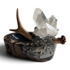 Petrified Wood Relic Bowl w/ Quartz Crystals, Antler & Silver Embellishments