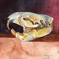 "Beaver Skull, Winter Light" Framed Watercolor on Aquabord