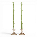 Hickory / Pair | Choice of Colors