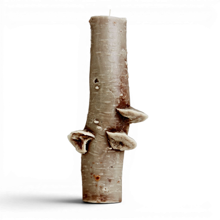 150 hr Birch Pillar | Choice of Colors