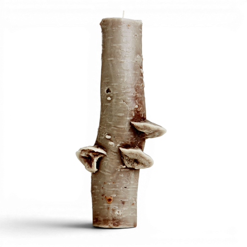 150 hr Birch Pillar | Choice of Colors