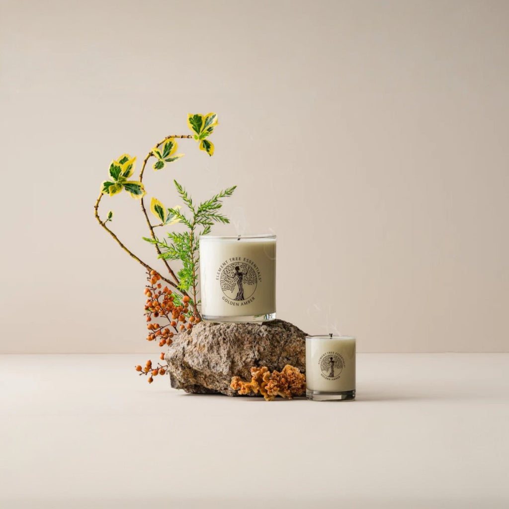 Golden Amber Lotion Candles + Diffuser