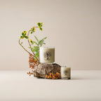 Golden Amber Lotion Candles + Diffuser