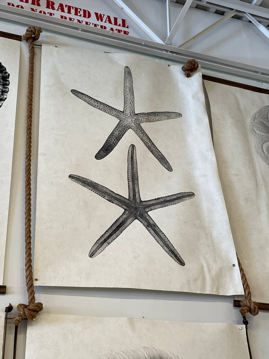 GOOD OMEN - BARRED OWL Hand-Deckled Watercolor Paper Giclee