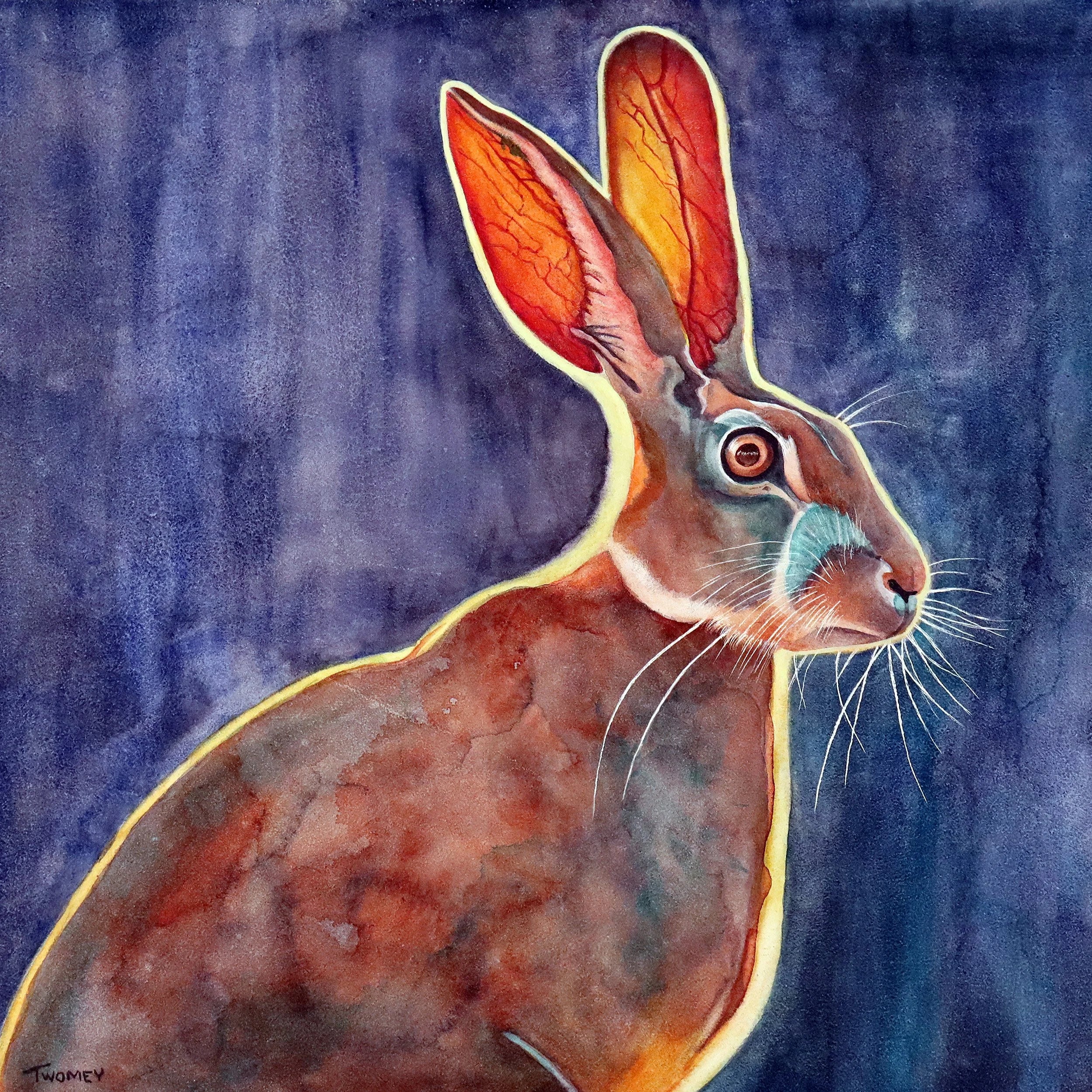 "African Jack Rabbit" Acrylic Glass 5" x 5"