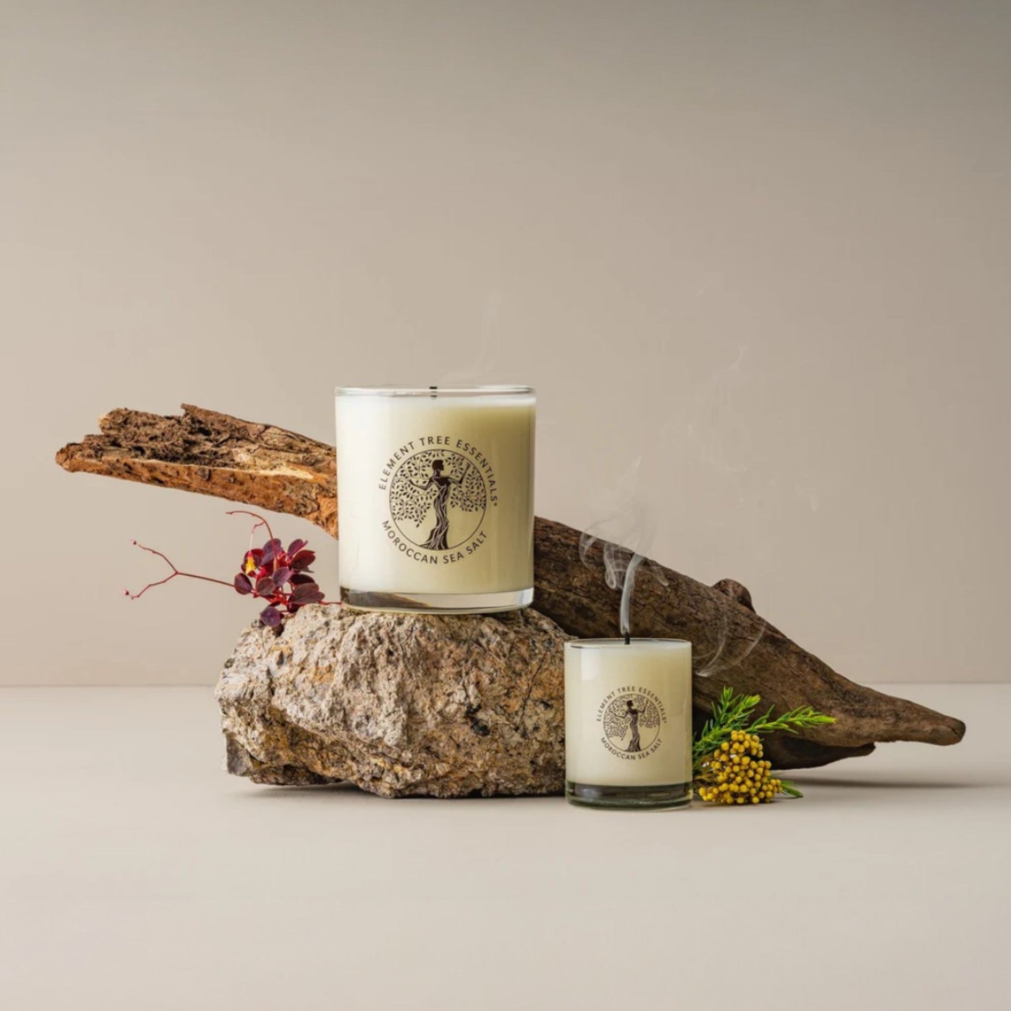 Moroccan Sea Salt Lotion Candles + Diffuser