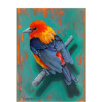 "Scarlet Tanager" Framed Oil Painting