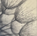 "Seed Heads with Dew" Encaustic Wax on Panel