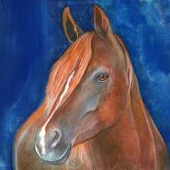 "Red and Blue" Framed Watercolor on Aquabord