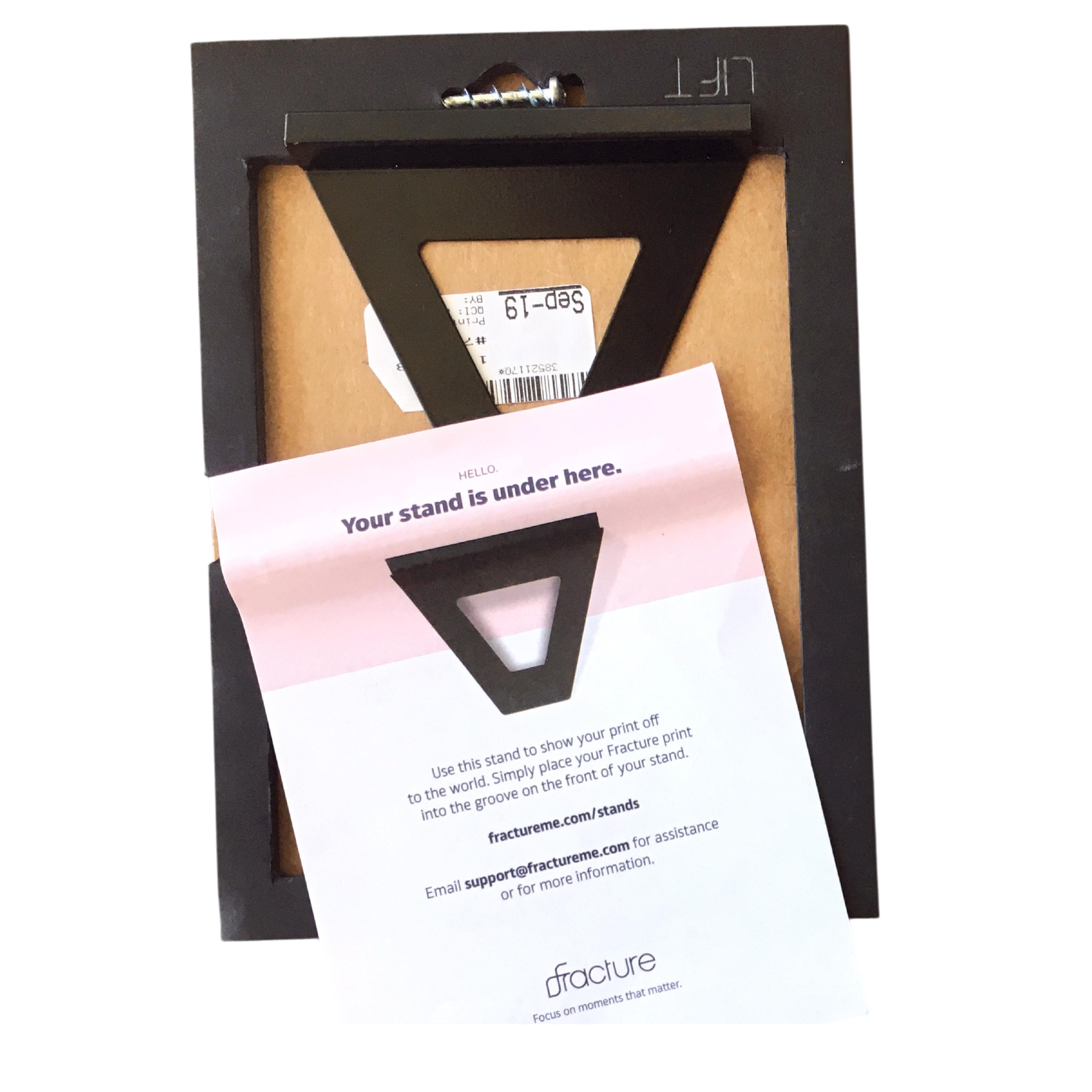 "Bull Elephant Walk" Acrylic Glass 5" x 5"