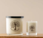 Walk In the Woods Lotion Candles + Diffuser