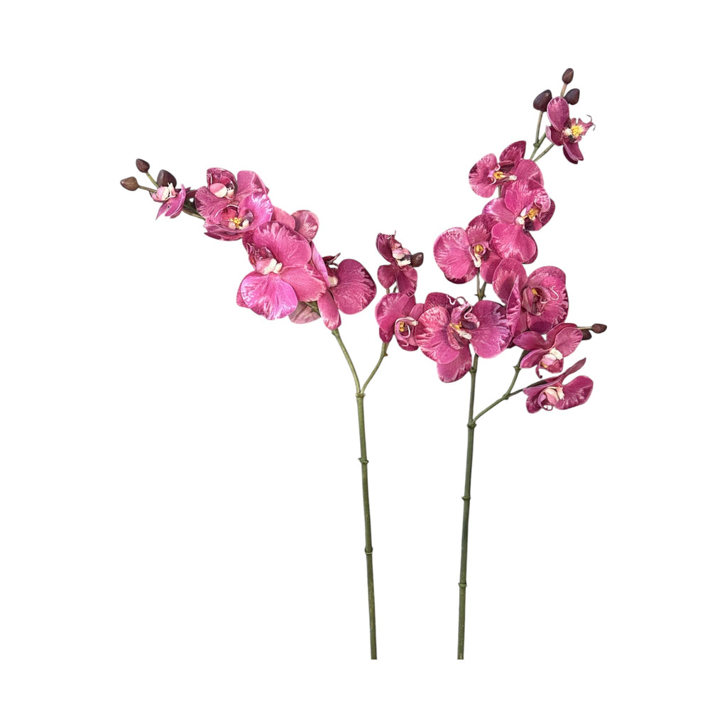 Faux Variegated Phalaenopsis Orchid Stem 28"