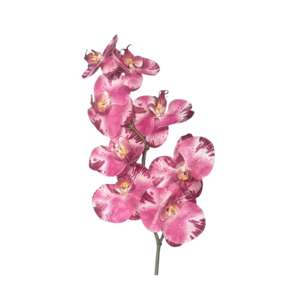 Faux Magenta Splash Phalaenopsis Orchid Stem 32"