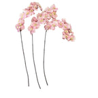 Faux Blush Phalaenopsis Orchid Stem 42"