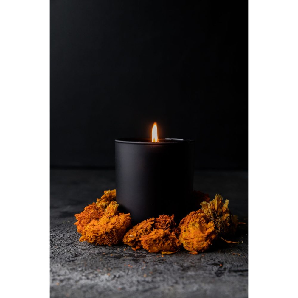 No 2 - Candle 10 fl oz – Dog & Pony Show